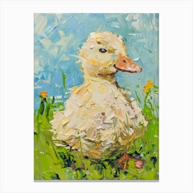 Duckling 2 Canvas Print