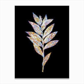 Stained Glass Smilacina Stellata Mosaic Botanical Illustration on Black n.0125 Canvas Print