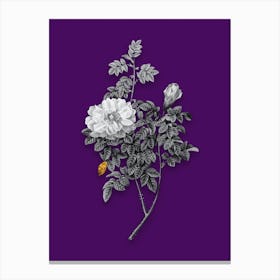 Vintage Ventenats Rose Black and White Gold Leaf Floral Art on Deep Violet Canvas Print