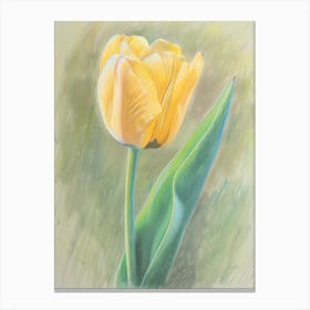 Yellow Tulip Canvas Print