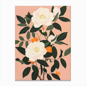 White Camellia Canvas Print