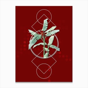 Vintage Scarlet Banana Botanical with Geometric Line Motif and Dot Pattern n.0157 Canvas Print