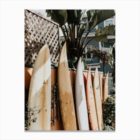 Surfboards 1 Canvas Print