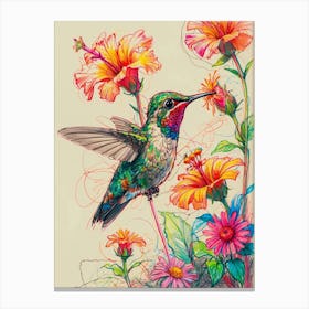 Hummingbird 11 Canvas Print