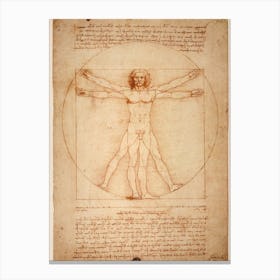 Leonardo Da Vinci Canvas Print