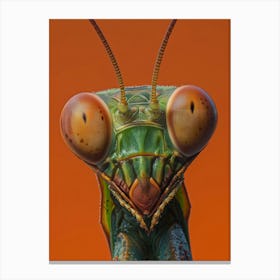 Praying Mantis 1 Canvas Print