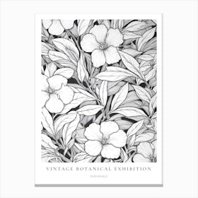 Periwinkle B&W Vintage Botanical Poster Canvas Print