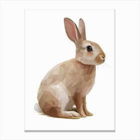 Tans Rabbit Kids Illustration 4 Canvas Print