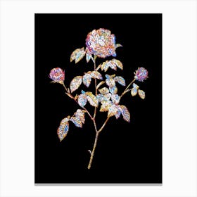 Stained Glass Agatha Rose in Bloom Mosaic Botanical Illustration on Black n.0237 Canvas Print