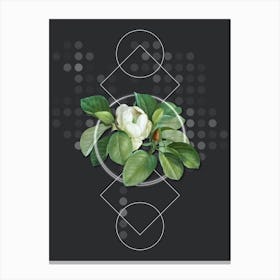 Vintage Magnolia Elegans Botanical with Geometric Line Motif and Dot Pattern n.0015 Canvas Print