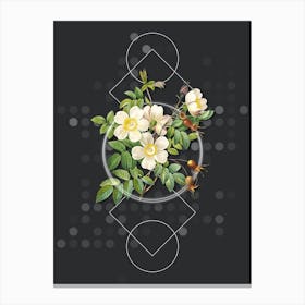 Vintage White Candolle Rose Botanical with Geometric Line Motif and Dot Pattern n.0275 Canvas Print