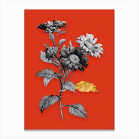 Vintage Red Aster Flowers Black and White Gold Leaf Floral Art on Tomato Red n.0093 Canvas Print