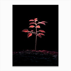 Tree Grows In The Dark 1 Canvas Print