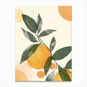 Apricot Close Up Illustration 3 Canvas Print