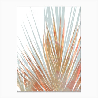 Coral Steel Blue Palm Canvas Print