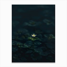 Single Flower In Water 13 Canvas Print