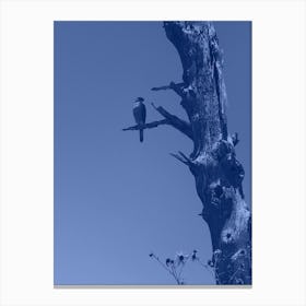 Blue Falcon Canvas Print