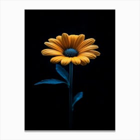 Gerbera Daisy 2 Canvas Print