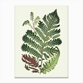 Grape Fern Wildflower Vintage Botanical 1 Canvas Print