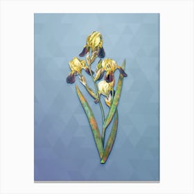 Vintage Elder Scented Iris Botanical Art on Summer Song Blue n.1017 Canvas Print