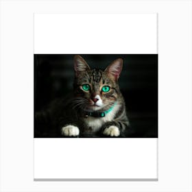 Cat With Green Eyes Canvas Print