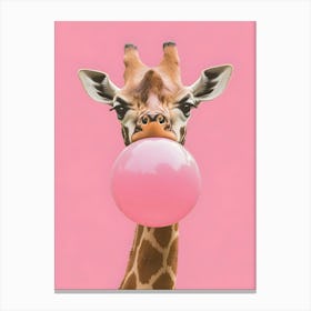 Giraffe Chewing Gum 1 Canvas Print