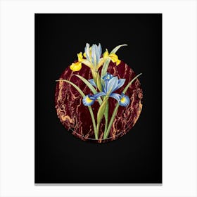 Vintage Spanish Iris Botanical in Gilded Marble on Shadowy Black Canvas Print