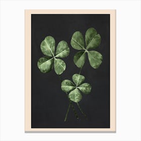 Four -Leaf Clover Art Canvas Print