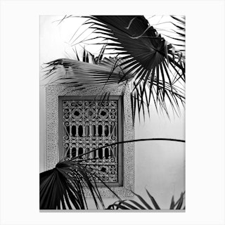 Palms And Garden Dreams Black And White Canvas Print