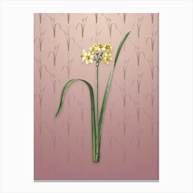 Vintage Cowslip Cupped Daffodil Botanical on Dusty Pink Pattern n.1676 Canvas Print