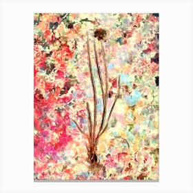 Impressionist Allium Foliosum Botanical Painting in Blush Pink and Gold Canvas Print