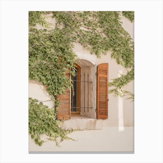 French Window Shutters Canvas Print