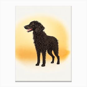 Curly Coated Retriever Illustration dog Canvas Print