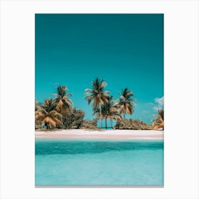 Tropical Island Canvas Print