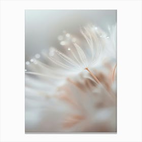 Pastel Nature Macro No 17 Canvas Print