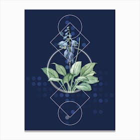 Vintage Daylily Botanical with Geometric Line Motif and Dot Pattern n.0161 Canvas Print