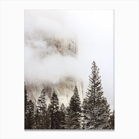 Foggy Mountain Trees Canvas Print