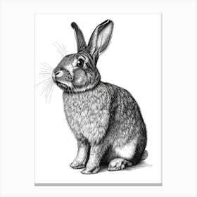 English Lop Blockprint Rabbit Illustration 4 Canvas Print