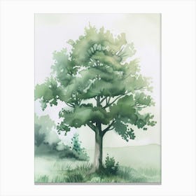 Alder Tree Atmospheric Watercolour Painting 4 Canvas Print