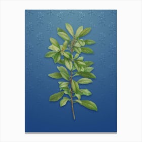 Vintage Firetree Plant Botanical on Bahama Blue Pattern Canvas Print