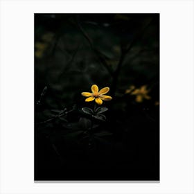 Yellow Flower In The Dark 1 Canvas Print