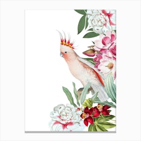 Cockatoo Vintage Floral Canvas Print