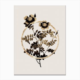 Gold Ring Variegated Burnet Rose Glitter Botanical Illustration Canvas Print