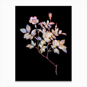 Stained Glass Vintage Rosebush Mosaic Botanical Illustration on Black Canvas Print