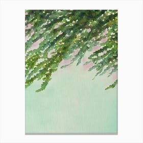 Acropora Selago Ii Storybook Watercolour Canvas Print