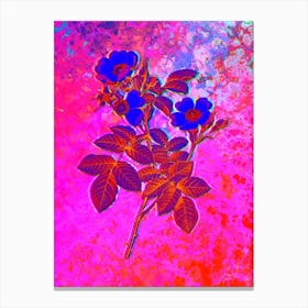 Short Styled Field Rose Botanical in Acid Neon Pink Green and Blue n.0181 Canvas Print