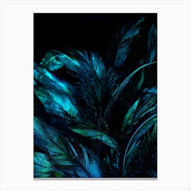 Dark Blue Feathers Canvas Print