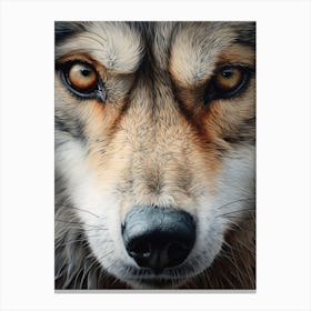 Indian Wolf Eye 2 Canvas Print