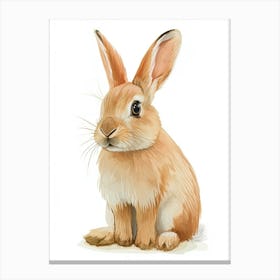 Beveren Rabbit Kids Illustration 2 Canvas Print