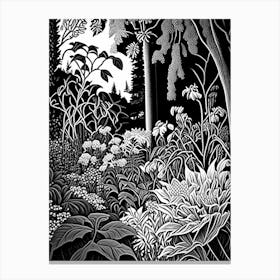 University Of British Columbia Botanical Garden, 1, Canada Linocut Black And White Vintage Canvas Print